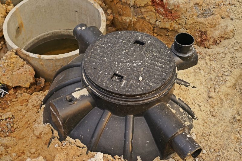 Increase Your Septic Dye Testing Business with an AI Driven, Targeted Website